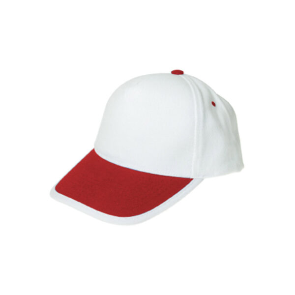 baseball cap with two colours