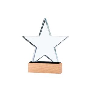 Star-Shaped-Crystal-Awards