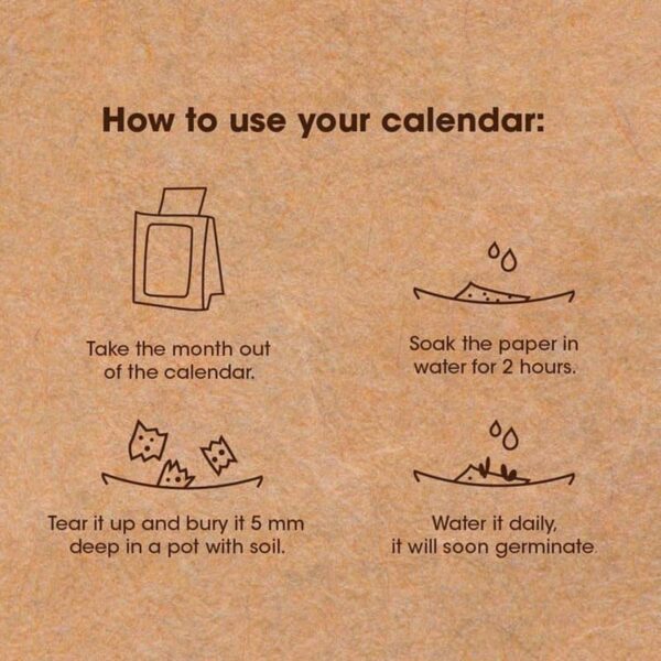 Plantable Calendar with 12 Sheets Seed Paper - Image 3