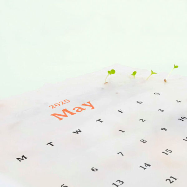 Plantable Calendar with 12 Sheets Seed Paper - Image 4