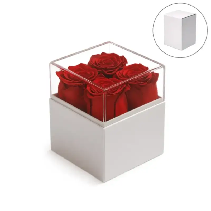 Forever Natural Flowers Gift Box White, Clear Acrylic Lid, 4Pcs Long Life Roses