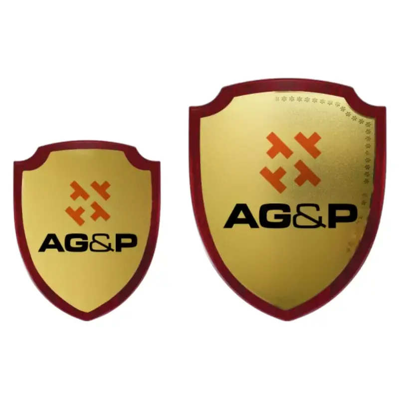 Shield Shaped Wooden Plaque with Box & Golden Aluminium Plate - Image 3