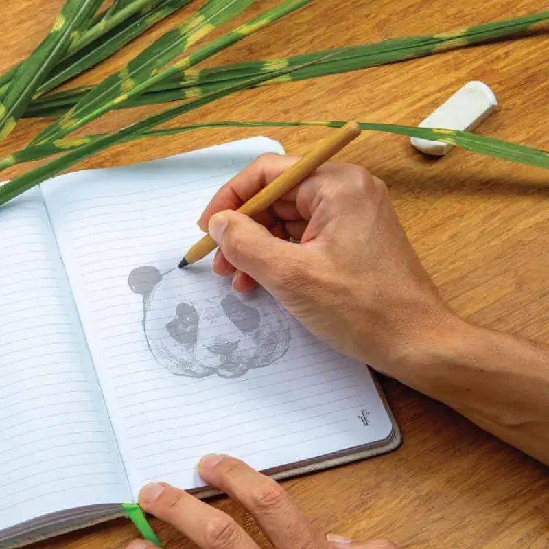 eco-neutral Bamboo 100x Long Lasting Pencil - Image 3