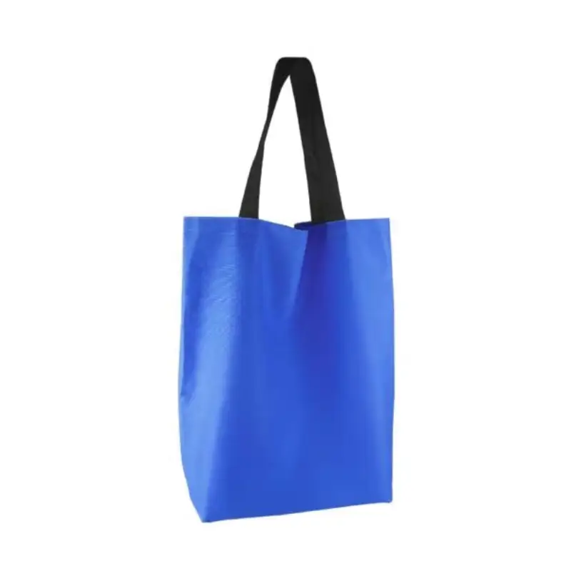 Portable Trolley Bags with Handles & Two Foldable Wheels - Image 5
